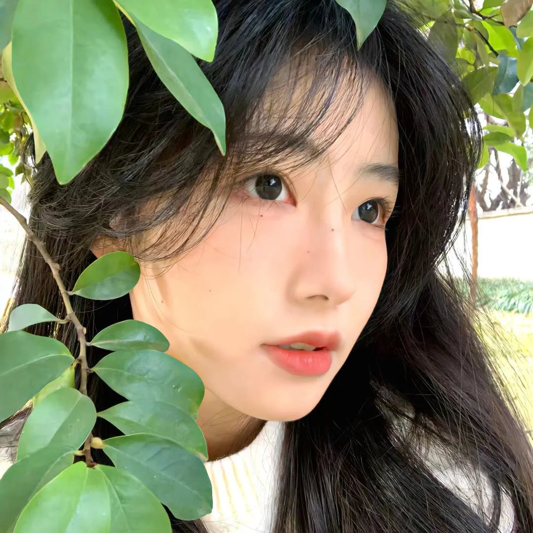 火焰肖像